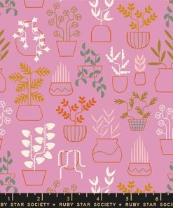 Ruby Star Society - Calathea - Plant Life Kiss