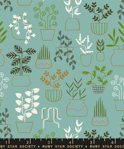 Ruby Star Society - Calathea - Plant Life Water