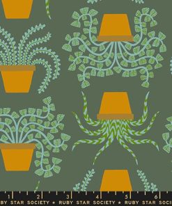 Ruby Star Society - Calathea - Houseplant Seaweed